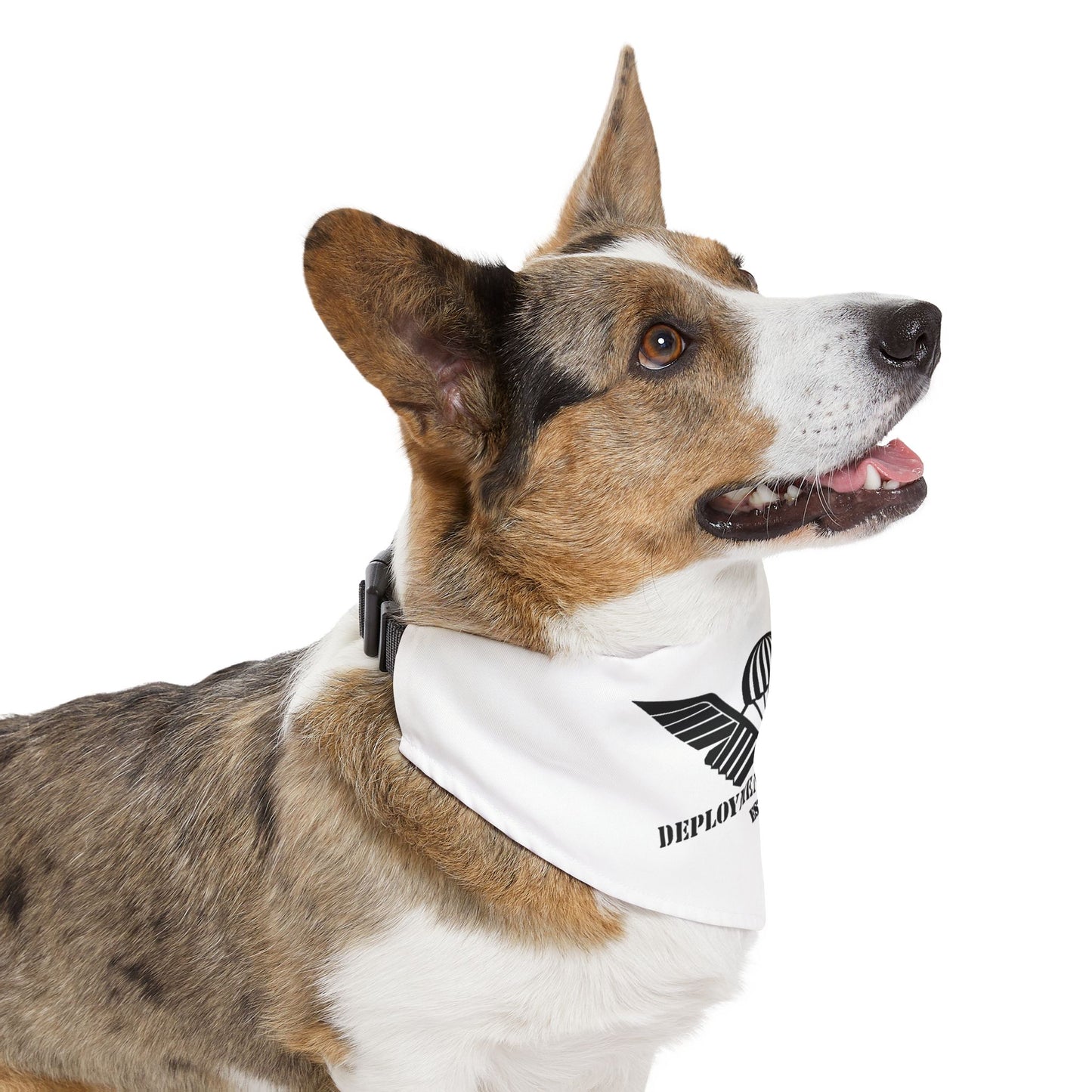 K9 Deployment Bandana Collar