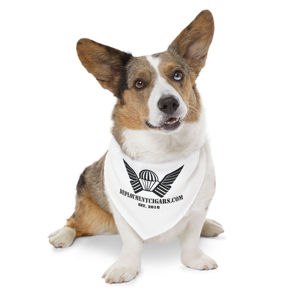 K9 Deployment Bandana Collar