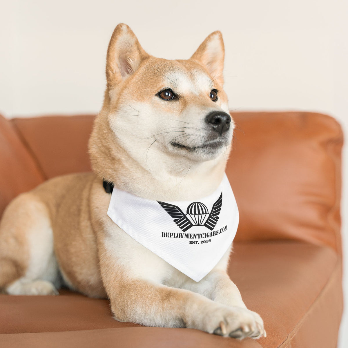 K9 Deployment Bandana Collar